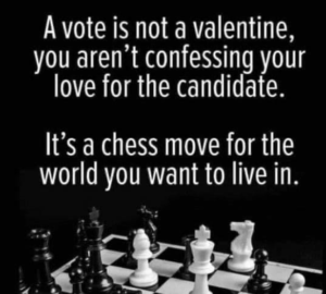 A vote is not a valentine, you aren't confessing your love for the candidate. It's a chess move for the world you want to live in. 